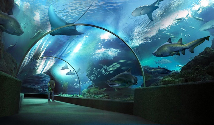 (Sea Life) Ocean World + Digital Photo + 4D