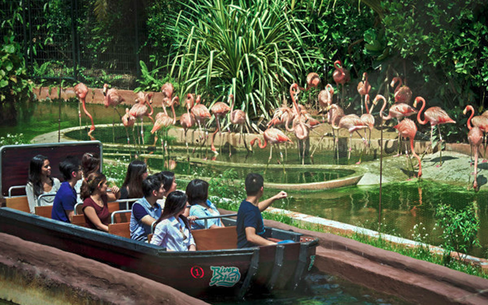Safari World (River Safari Ride Only)